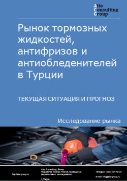 Анализ рынка тормозных жидкостей, антифризов и антиобледенителей в Турции. Текущая ситуация и прогноз 2024-2028 гг.