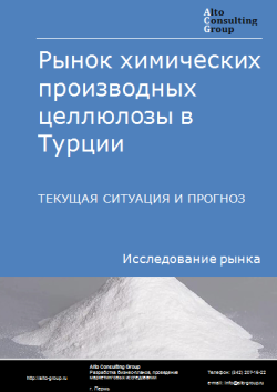 Рынок химических производных целлюлозы в Турции. Текущая ситуация и прогноз 2024-2028 гг.