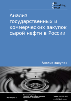 Анализ государственных и коммерческих закупок сырой нефти в России в 2024 г.