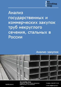 Обложка отчета: Анализ закупок труб  некруглого сечения, стальных в России в 2025 г.