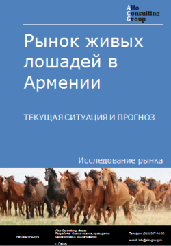 Анализ рынка живых лошадей в Армении. Текущая ситуация и прогноз 2024-2028 гг.