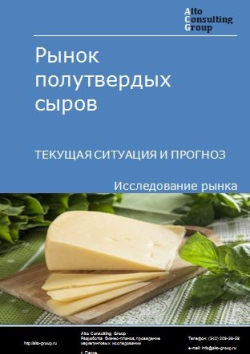 Обложка исследования: Анализ рынка полутвердых сыров в России. Текущая ситуация и прогноз 2024-2028 гг.