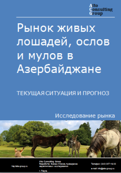 Анализ рынка лошадей, ослов и мулов в Азербайджане. Текущая ситуация и прогноз 2024-2028 гг.
