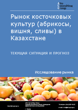 Анализ рынка косточковых культур (абрикосы, вишня, сливы) в Казахстане. Текущая ситуация и прогноз 2024-2028 гг.