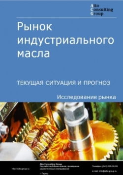 Обложка Анализ рынка индустриального масла в России. Текущая ситуация и прогноз 2024-2028 гг.