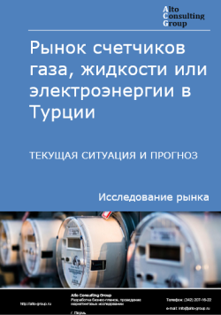 Анализ рынка счетчиков газа, жидкости или электроэнергии в Турции. Текущая ситуация и прогноз 2024-2028 гг.