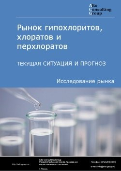 Рынок гипохлоритов, хлоратов и перхлоратов в России. Текущая ситуация и прогноз 2024-2028 гг.