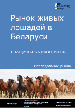 Анализ рынка живых лошадей в Беларуси. Текущая ситуация и прогноз 2024-2028 гг.