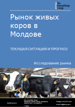 Анализ рынка живых коров в Молдове. Текущая ситуация и прогноз 2024-2028 гг.