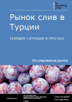 Рынок слив в Турции. Текущая ситуация и прогноз 2024-2028 гг.