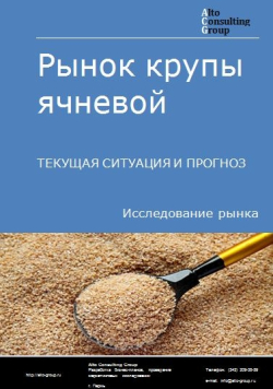 Рынок крупы ячневой в России. Текущая ситуация и прогноз 2024-2028 гг.