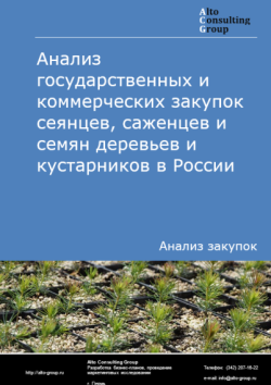 Обложка исследования: Анализ закупок сеянцев, саженцев и семян деревьев и кустарников в России в 2024 г.