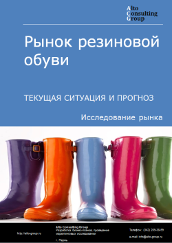 Анализ рынка резиновой обуви в России. Текущая ситуация и прогноз 2024-2028 гг.
