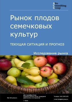 Рынок плодов семечковых культур (яблоки, груши, айва) в России. Текущая ситуация и прогноз 2024-2028 гг.