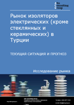 Рынок изоляторов электрических (кроме стеклянных и керамических) в Турции. Текущая ситуация и прогноз 2024-2028 гг.