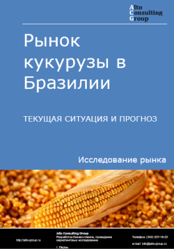 Рынок кукурузы в Бразилии. Текущая ситуация и прогноз 2024-2028 гг.