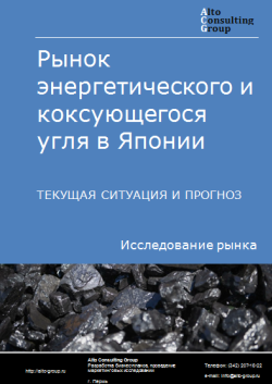 Анализ рынка энергетического и коксующегося угля в Японии. Текущая ситуация и прогноз 2024-2028 гг.