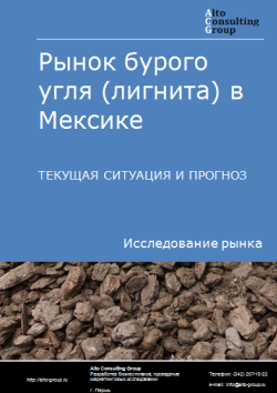 Рынок бурого угля (лигнита) в Мексике. Текущая ситуация и прогноз 2024-2028 гг.