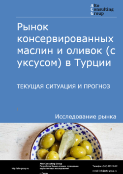 Обложка отчета: Анализ рынка консервированных маслин и оливок (с уксусом) в Турции. Текущая ситуация и прогноз 2025-2029 гг.
