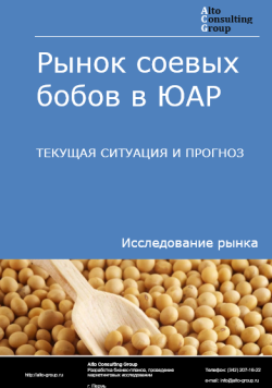 Обложка исследования: Анализ рынка соевых бобов в ЮАР. Текущая ситуация и прогноз 2024-2028 гг.