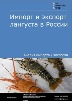 Обложка исследования: Анализ импорта и экспорта лангуста в России в 2020-2024 гг.