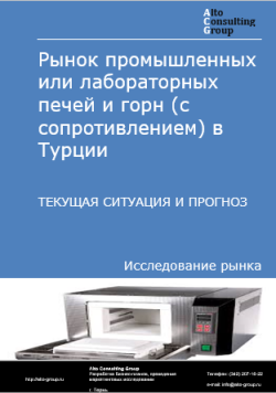 Рынок промышленных или лабораторных печей и горн (с сопротивлением) в Турции. Текущая ситуация и прогноз 2024-2028 гг.