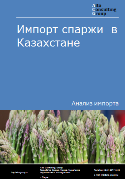 Импорт спаржи в Казахстан в 2019-2023 гг.