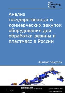 Обложка исследования: Анализ закупок оборудования для обработки резины и пластмасс в России в 2024 г.