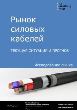 Обложка исследования: Анализ рынка силовых кабелей в России. Текущая ситуация и прогноз 2024-2028 гг.