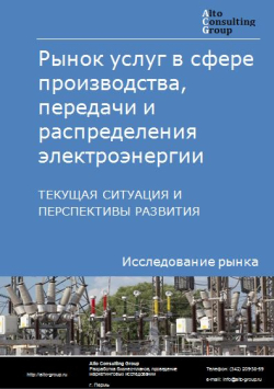 Рынок услуг в сфере производства, передачи и распределения электроэнергии в России. Текущая ситуация и перспективы развития