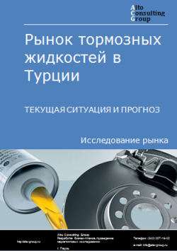 Анализ рынка тормозных жидкостей в Турции. Текущая ситуация и прогноз 2024-2028 гг.