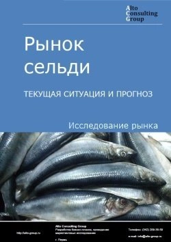Обложка исследования: Анализ рынка сельди в России. Текущая ситуация и прогноз 2025-2029 гг.