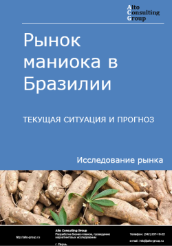 Рынок маниока в Бразилии. Текущая ситуация и прогноз 2024-2028 гг.