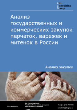 Обложка исследования: Анализ рынка государственных и коммерческих закупок перчаток, варежек и митенок в России в 2025 году