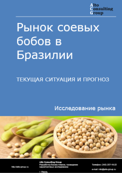 Рынок соевых бобов в Бразилии. Текущая ситуация и прогноз 2024-2028 гг.