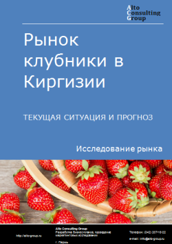 Анализ рынка клубники в Киргизии. Текущая ситуация и прогноз 2024-2028 гг.