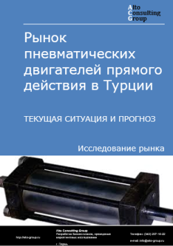 Рынок пневматических двигателей прямого действия в Турции. Текущая ситуация и прогноз 2024-2028 гг.