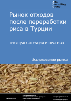 Обложка отчета: Анализ рынка отходов после переработки риса в Турции. Текущая ситуация и прогноз 2025-2029 гг.
