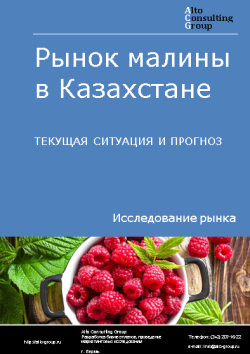 Рынок малины в Казахстане. Текущая ситуация и прогноз 2023-2027 гг.