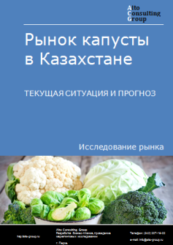 Анализ рынка капусты в Казахстане. Текущая ситуация и прогноз 2024-2028 гг.