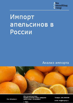 Импорт апельсинов в России в 2020-2024 гг.