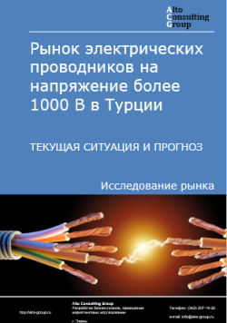 Рынок электрических проводников на напряжение более 1000 В в Турции. Текущая ситуация и прогноз 2024-2028 гг.