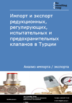 Обложка исследования: Анализ импорта и экспорта редукционных, регулирующих, испытательных и предохранительных клапанов в Турции в 2020-2024 гг.