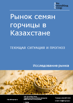Анализ рынка семян горчицы в Казахстане. Текущая ситуация и прогноз 2024-2028 гг.