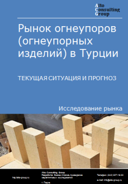 Обложка Анализ рынка огнеупоров (огнеупорных изделий) в Турции. Текущая ситуация и прогноз 2024-2028 гг.