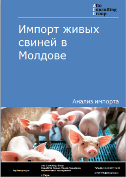 Анализ импорта живых свиней в Молдову в 2019-2023 гг.