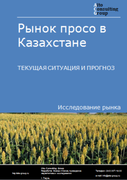 Рынок просо в Казахстане. Текущая ситуация и прогноз 2024-2028 гг.