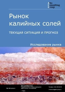 Рынок калийных солей в России. Текущая ситуация и прогноз 2024-2028 гг.