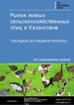 Рынок живых сельскохозяйственных птиц в Казахстане. Текущая ситуация и прогноз 2024-2028 гг.
