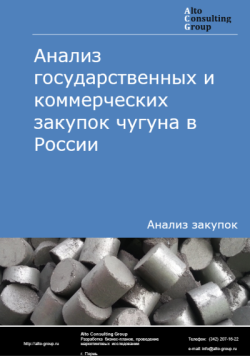 Анализ государственных и коммерческих закупок чугуна в России в 2024 г.